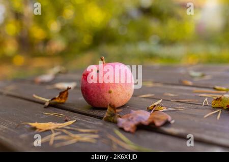 Organic apple in autumn on wooden table outside Stock Photo