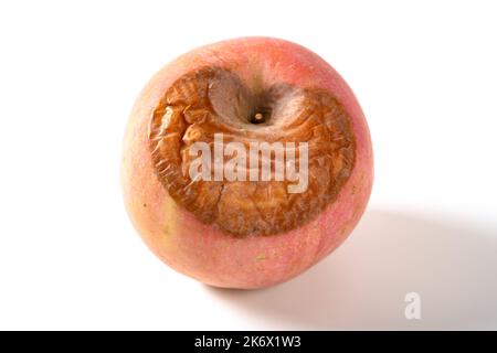 side view badly rotten apple with worm on a white background Stock ...
