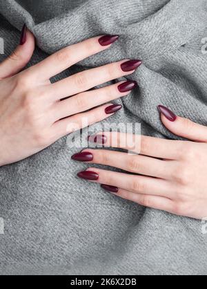 Beautiful hands of a young woman with dark red manicure on nails. Autumn winter nail design concept of beauty treatment. Stock Photo