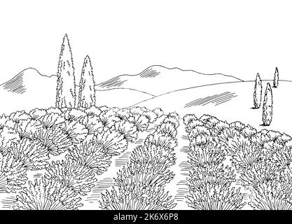 lavender field flower graphic black white landscape sketch illustration vector