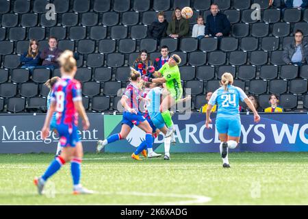 Crystal Palace goalkeeper Fran Kitching celebrates by lifting the Women ...