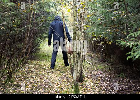 a man in the birch forest looking for mushrooms with a basket. High quality photo