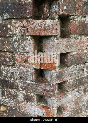 Close up of a corner of a brick wall covered in grey lichen. Stock Photo