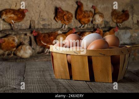 basket full of chicken eggs on table with hens on the roost Stock Photo
