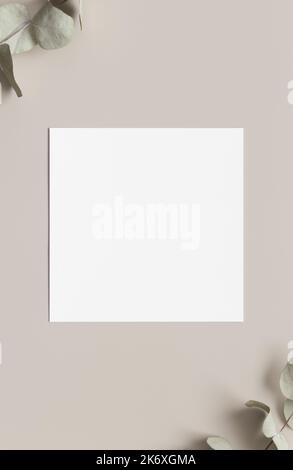 Invitation square card mockup with eucalyptus branches. Stock Photo