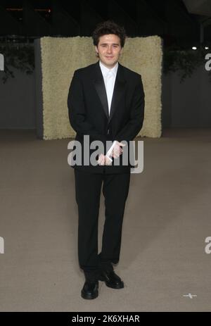 LOS ANGELES, CA - OCTOBER 15: (L-R) Bear the dog (Dreyfuss on the show ...