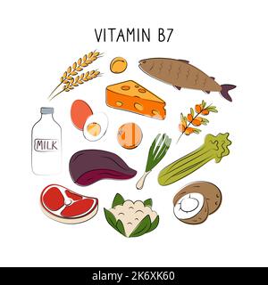 Vitamin B7 Biotin. Groups of healthy products containing vitamins. Set of fruits, vegetables, meats, fish and dairy Stock Vector