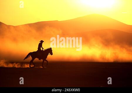 It's like a dream world A spectacular sunset, a legendary dust cloud and hundreds of horses and the ground feels like they are bouncing under your fee Stock Photo