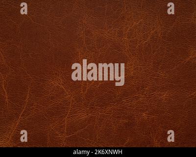 Dark orange, brown color leather skin texture, natural with design lines pattern or red abstract background. Can use as wallpaper or backdrop luxury Stock Photo