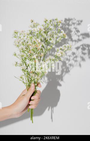 Beautiful flower concept, Woman holding bouquet of white cutter in hand with sunlight and shadow. Stock Photo