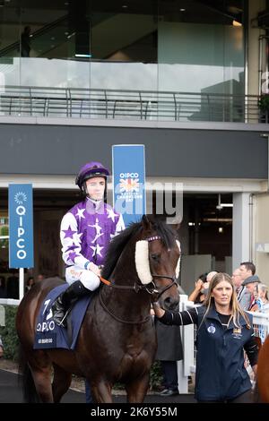 Ascot, Berkshire, UK. 15th October, 2022. Horse Go Bears Go ridden by jockey Rossa Ryan heads out onto the track for the QIPCO British Champions Sprint Stakes (Class 1) (Group 1) (British Champions Series). Trainer David Loughnane, Tern Hill. Credit: Maureen McLean/Alamy Stock Photo