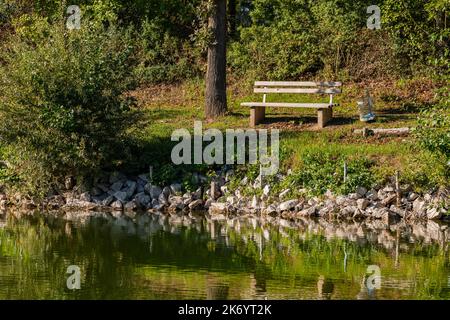 A wooden bench on a path by a lake invites to rest, Germany Stock Photo