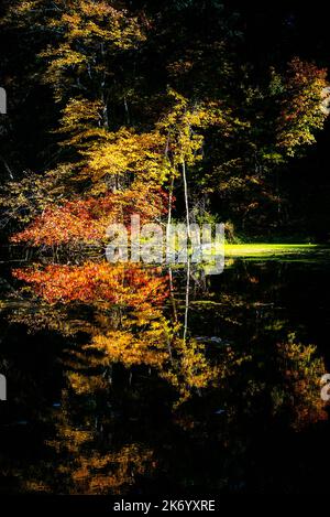Fall foliage colors reflection on a black pond Stock Photo