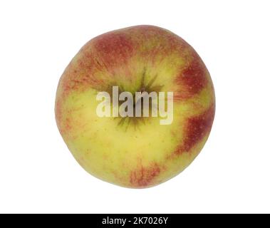 Realistic colorful apple (Malus domestica) from high angle view on isolated white background, An Apple a Day Keeps the Doctor Away Stock Photo