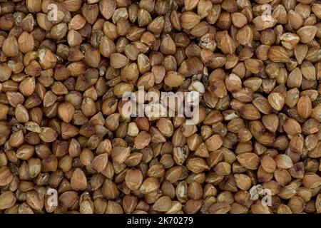 High angle full-frame photo of wholegrain buckwheat grains making pattern for background, wallpaper Stock Photo