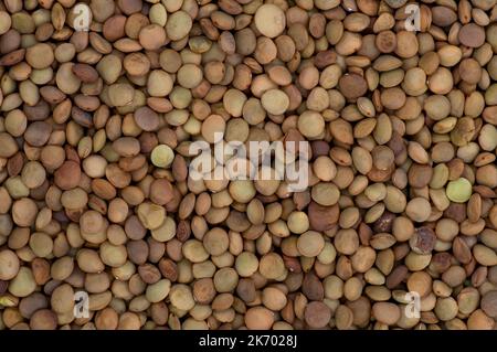 High angle full-frame photo of lentil grains making pattern for background, wallpaper Stock Photo