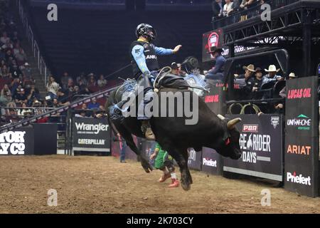 Glendale, Arizona, USA. 15th Oct, 2022. GLENDALE, AZ - OCTOBER 15: Rider Cooper Davis of the Carolina Cowboys rides bull Born To Sin during the PBR Ridge Rider Days at the Desert Diamond Arena on October 15, 2022 in Glendale, AZ, United States. (Credit Image: © Alejandro Salazar/PX Imagens via ZUMA Press Wire) Stock Photo