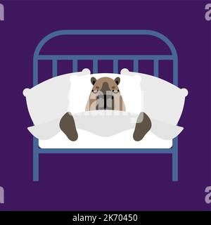 Capybara is sleeping. Guinea pig Sleeping in bed. Stock Vector