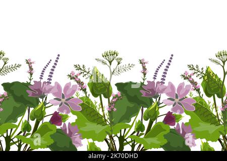 Vector floral seamless pattern, border. Horizontal panoramic design with mallow, yarrow and hyssop isolated on a white background. Stock Vector