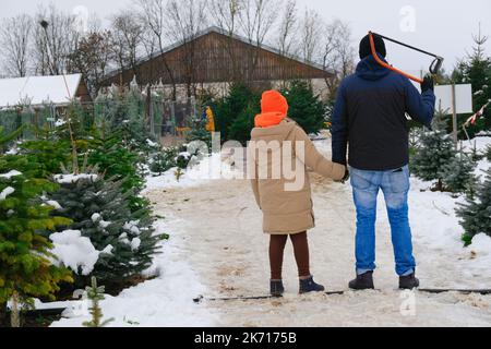 Father and daughter choose christmas tree at winter snowy fir tree nursery.Family Christmas customs and traditions.Choosing And Buying Tree At The Stock Photo