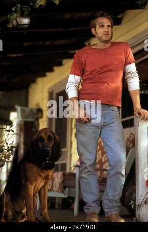 JOSH LUCAS, DOG, SWEET HOME ALABAMA, 2002 Stock Photo