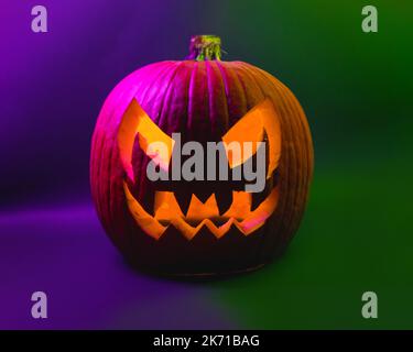 Real Halloween orange pumpkin violet and green background giving spooky season vibes. Scary pumpkin head portrait glowing inside with orange lights, O Stock Photo