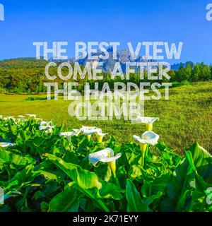 Inspirational motivation quote The best view comes after the hardest climb on nature background. Stock Photo
