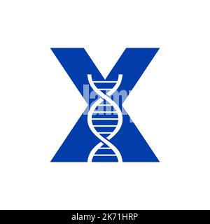 Initial Letter X DNA Logo Concept For Biotechnology, Healthcare And Medicine Identity Vector Template Stock Vector