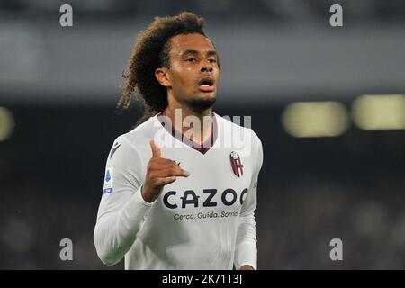 Napoli, Italy. 16th Oct, 2022. Joshua Zirkzee player of Bologna, during the match serieA italian championship Napoli vs Bologna final result, Napoli 3, Bologna 2, match played at the Diego Armando Maradona Stadium. Napoli, Italy, 16 October 2022. (photo by Vincenzo Izzo/Sipa USA) Credit: Sipa USA/Alamy Live News Stock Photo