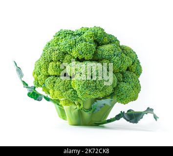 Broccoli inflorescence isolated on a white background. Stock Photo