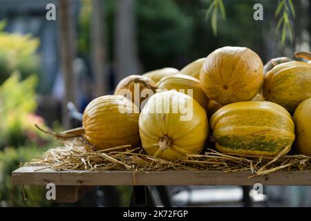 Autumn decoration - harvest of yellow pumpkins on dry straw at farmers market. Halloween symbol Stock Photo