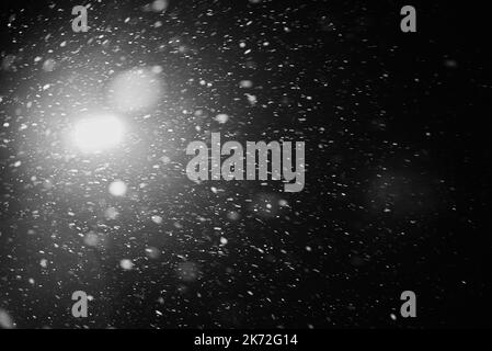 Snowflakes falling down on black background, heavy snow flakes isolated, Flying rain, overlay effect for composition Stock Photo