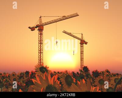 Construction cranes in a field of sunflowers at sunset Stock Photo