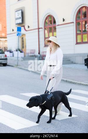 Blind woman with guide dog crossing road Stock Photo - Alamy