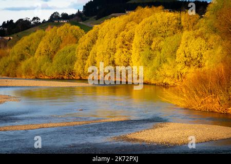 North Island Rivers Tukituki RIver, Waipukurau, Central Hawke's Bay, North Island, New ...