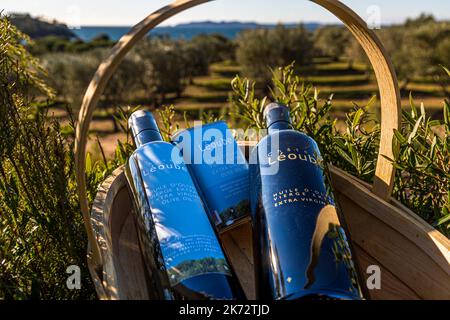 The two varieties of olive oil from Chateau Léoube. Premium and Azur in Bormes-les-Mimosas, France Stock Photo