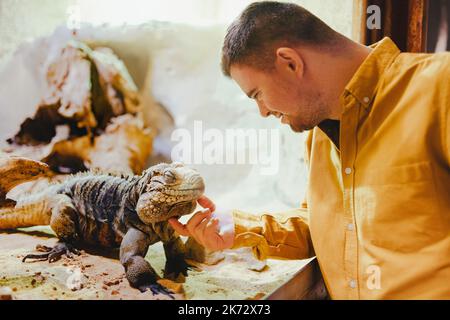 Caretaker with down syndrome taking care of animals in zoo, stroking iguana. Concept of integration people with disabilities into society. Stock Photo