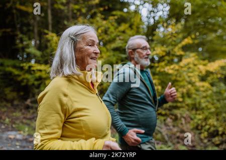 Happy senior couple hiking in autumn forest. Stock Photo