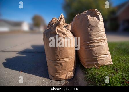 Lawn/Yard Waste and Kraft Bags