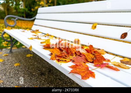 Park bench with autumn leaves Stock Photo