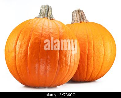 Two orange round pumpkins, symbol of Halloween isolated on white background. Stock Photo