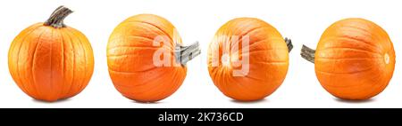 Set of orange round pumpkins, symbol of Halloween isolated on white background. Stock Photo