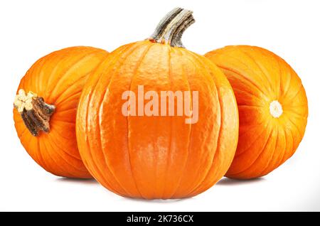 Three orange round pumpkins, symbol of Halloween isolated on white background. Stock Photo