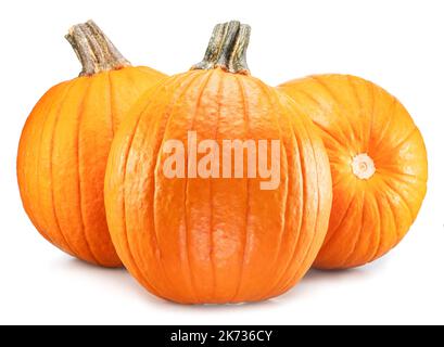 Three orange round pumpkins, symbol of Halloween isolated on white background. Stock Photo