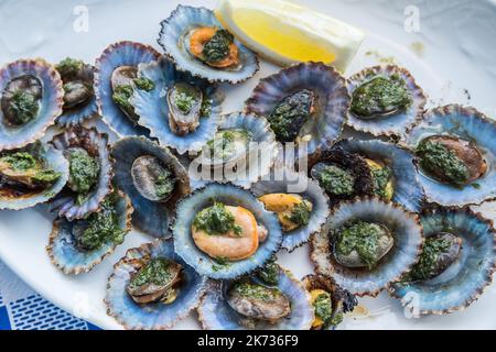 'Lapas' or true limpets with green moyo - traditional seafood of Tenerife and Madeira Islands. Stock Photo