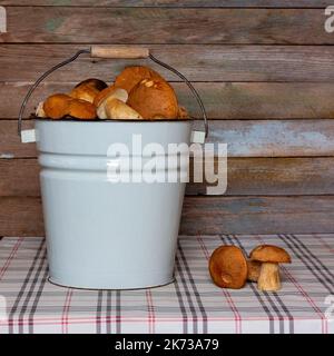 bucket of boletus mushrooms on the table against the background of a wooden wall with copy space Stock Photo