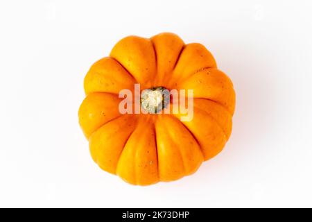 Munchkin Pumpkin on a white background Stock Photo