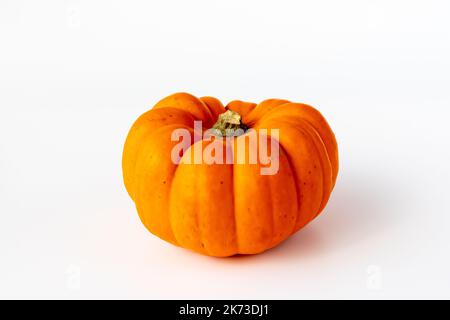Munchkin Pumpkin on a white background Stock Photo