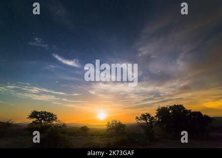 The stars visible in the sky during a beautiful sunset in Austin, Texas Stock Photo