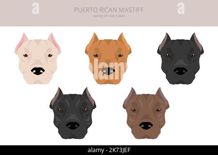 Puerto Rican Mastiff clipart. All coat colors set. All dog breeds ...